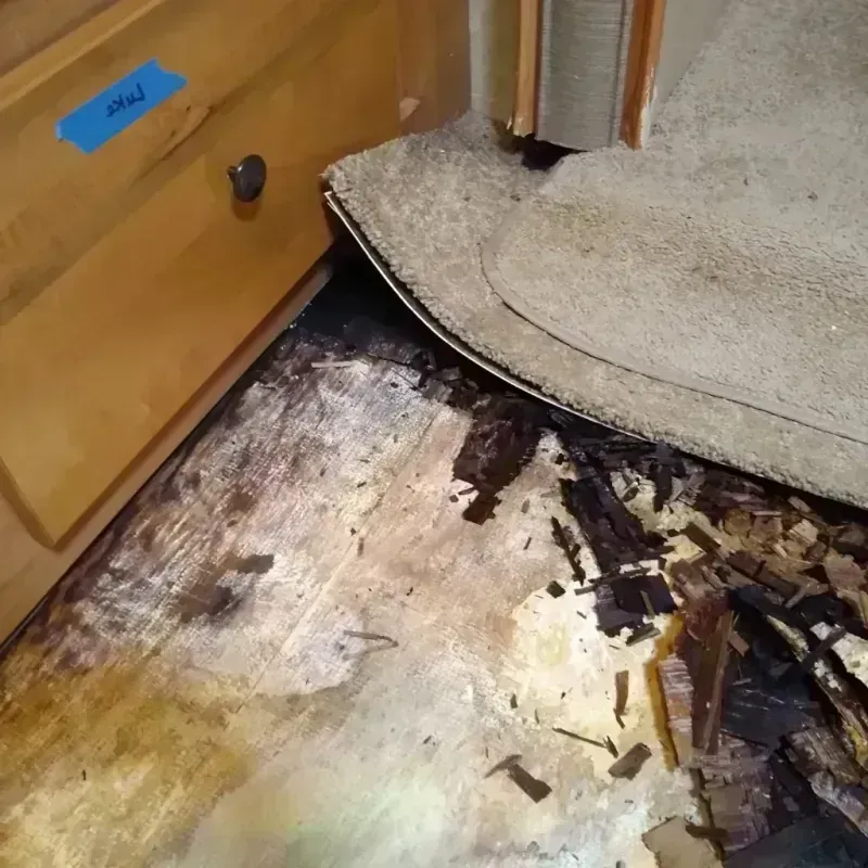 Best Wood Floor Water Damage Service in Tifton, GA